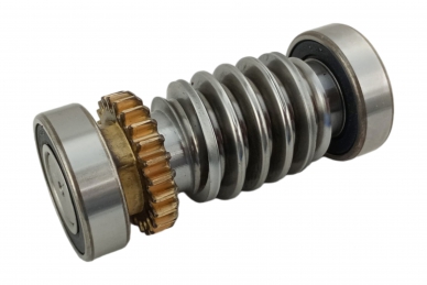 CAME 119RIA016 End screw - frog