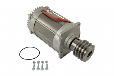 Came 119RIBK055 Bk-221 motor assembly