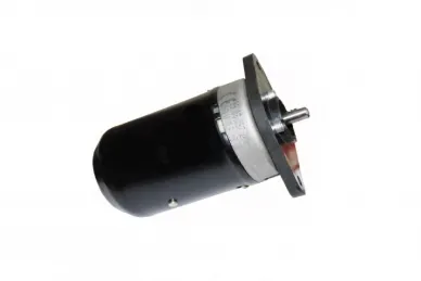 Came 119RIBZ008 24V BZ Engine