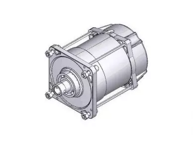CAME 119RIE152 Motor unit - e456