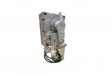 Came 119RIG323 G3250 Gear Motor