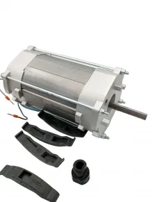 Came 88001-0142 Motor assembly slow axo 230 v series