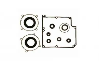 Faac 390834 Gaskets kit 540/541/mercury
