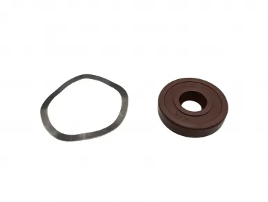 Faac 7093055 Seal for rotating shaft a 10307 fkm