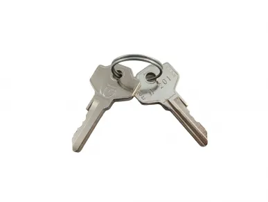 Faac 713021 Key for 770 nr 201