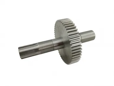 NICE PMD0219R06.4610 output shaft with gear
