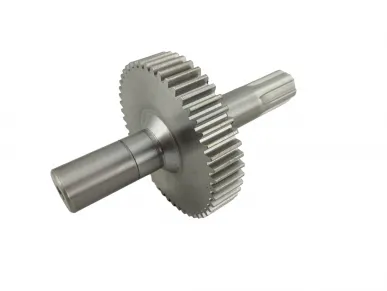 NICE PMD0219R06.4610 output shaft with gear