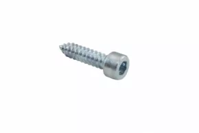 Nice V6.3X19.5101 Screw PLUTO - short  WS200S 